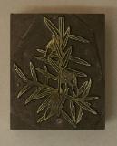 Click for more details.